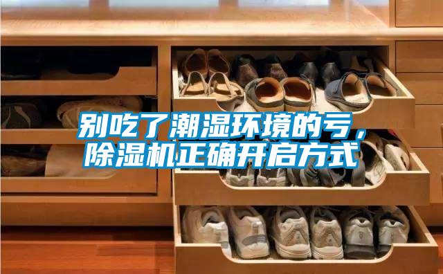 別吃了潮濕環境的虧，除濕機正確開啟方式