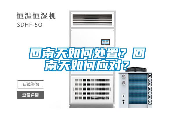 回南天如何處置？回南天如何應對？