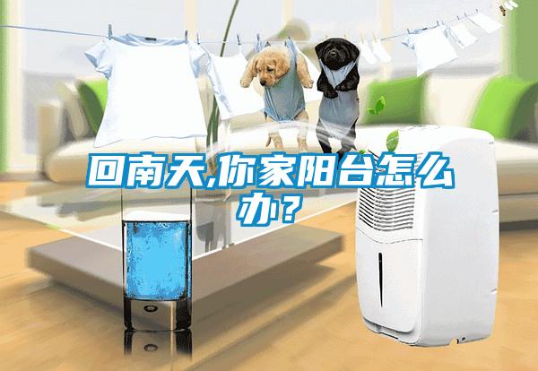 回南天,你家陽臺怎么辦？