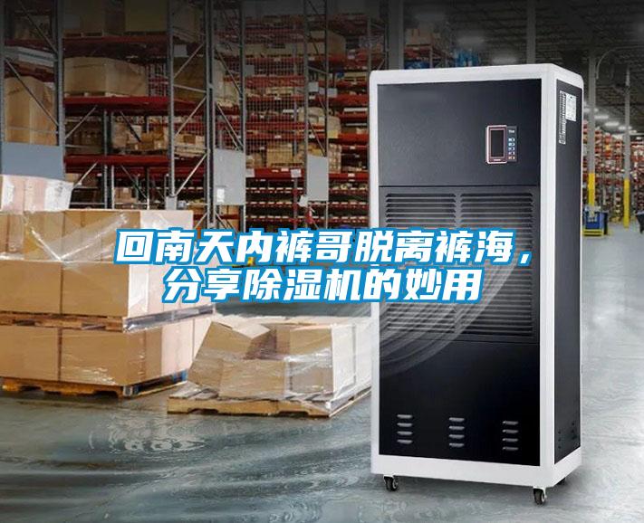 回南天內褲哥脫離褲海，分享除濕機的妙用