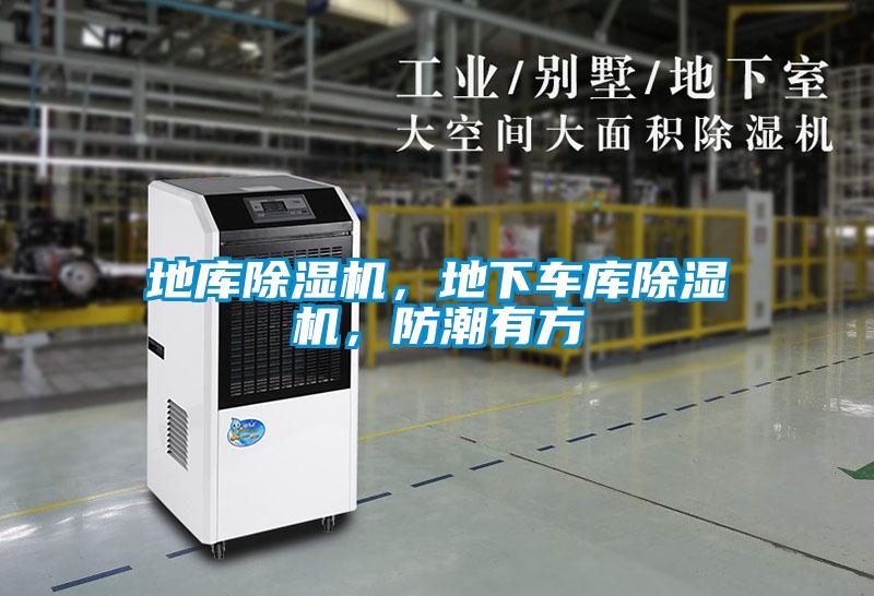 地庫除濕機，地下車庫除濕機，防潮有方
