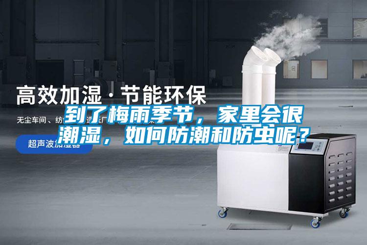 到了梅雨季節，家里會很潮濕，如何防潮和防蟲呢？