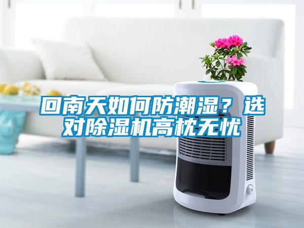 回南天如何防潮濕？選對除濕機高枕無憂