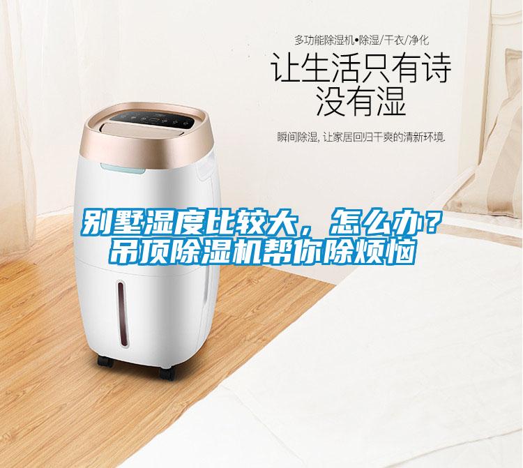 別墅濕度比較大，怎么辦？吊頂除濕機幫你除煩惱