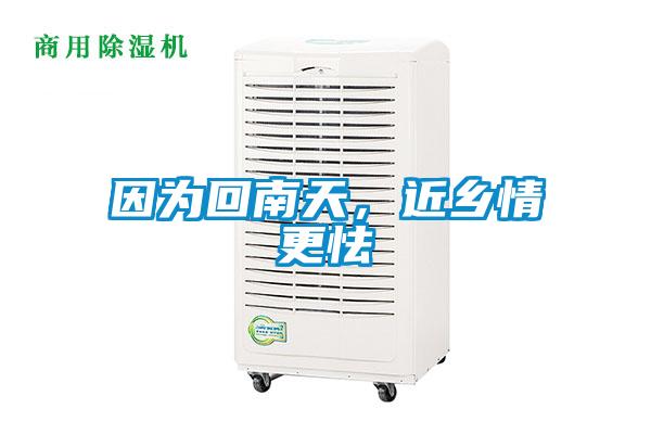 因為回南天，近鄉情更怯