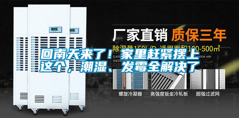 回南天來了！家里趕緊擺上這個，潮濕、發霉全解決了