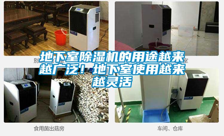 地下室除濕機的用途越來越廣泛！地下室使用越來越靈活
