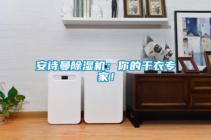 安詩曼除濕機：你的干衣專家！
