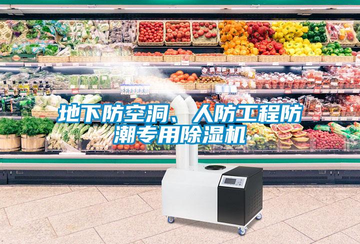 地下防空洞、人防工程防潮專用除濕機