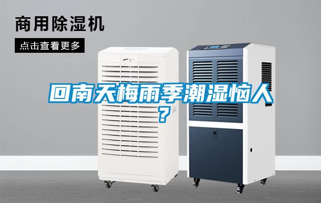 回南天梅雨季潮濕惱人？
