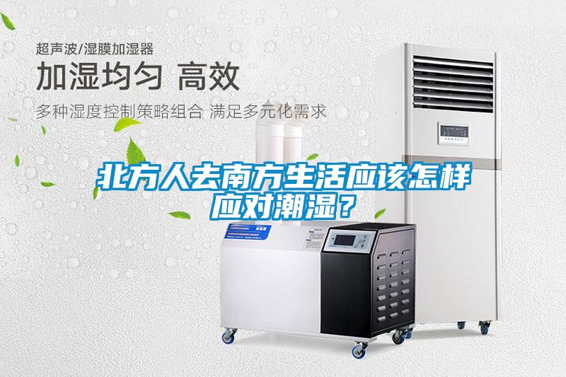北方人去南方生活應該怎樣應對潮濕？