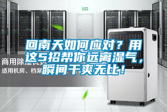 回南天如何應對？用這5招幫你遠離濕氣，瞬間干爽無比！