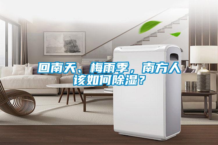 回南天、梅雨季，南方人該如何除濕？