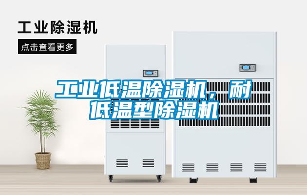 工業低溫除濕機，耐低溫型除濕機