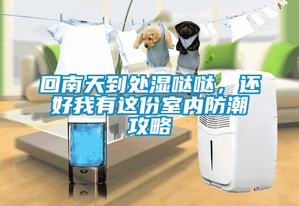 回南天到處濕噠噠，還好我有這份室內防潮攻略