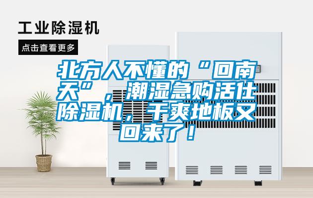 北方人不懂的“回南天”，潮濕急購活仕除濕機，干爽地板又回來了！