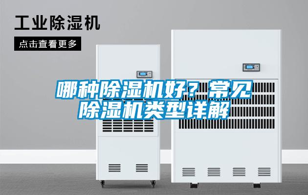 哪種除濕機好？常見除濕機類型詳解