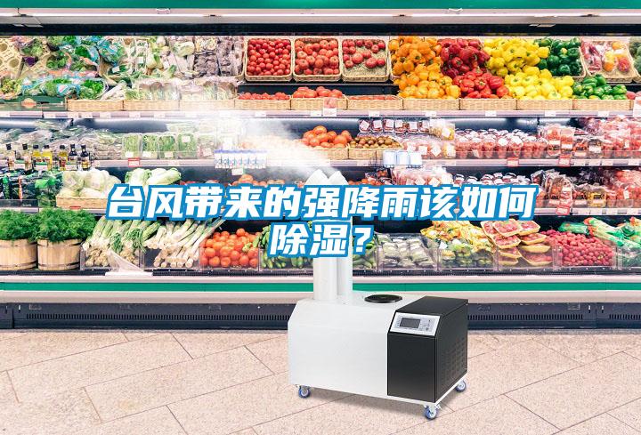 臺風帶來的強降雨該如何除濕？