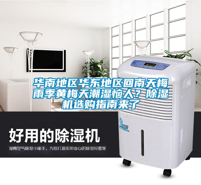 華南地區華東地區回南天梅雨季黃梅天潮濕惱人？除濕機選購指南來了