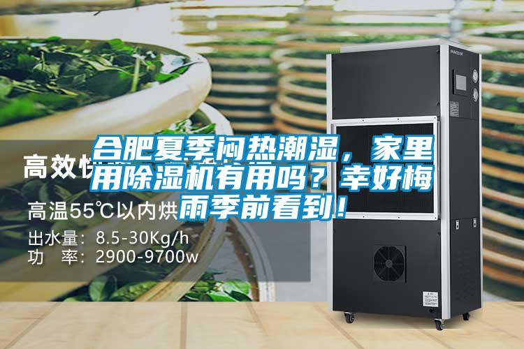 合肥夏季悶熱潮濕，家里用除濕機有用嗎？幸好梅雨季前看到！