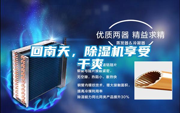 回南天，除濕機享受干爽