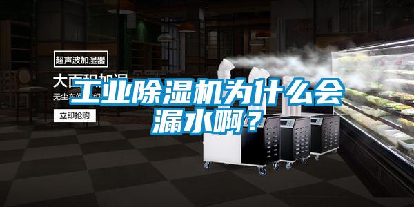 工業除濕機為什么會漏水??？