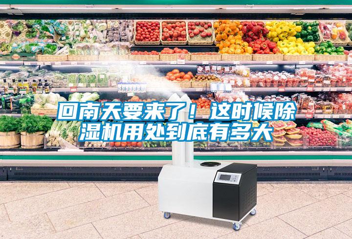 回南天要來了！這時候除濕機用處到底有多大