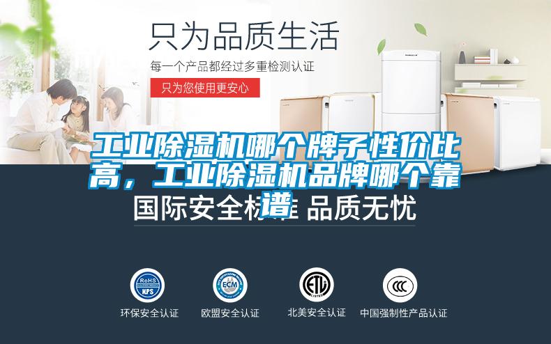 工業除濕機哪個牌子性價比高，工業除濕機品牌哪個靠譜