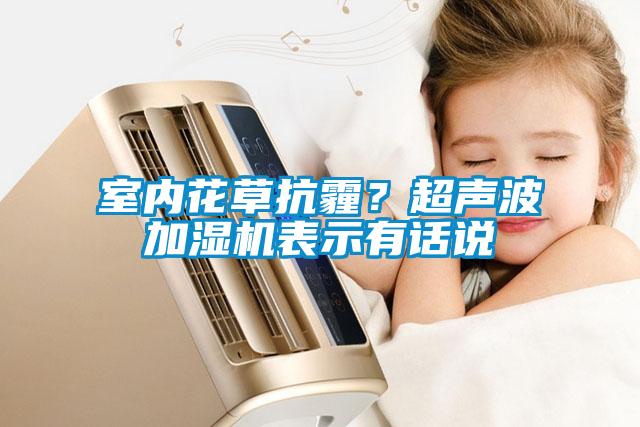 室內花草抗霾？超聲波加濕機表示有話說