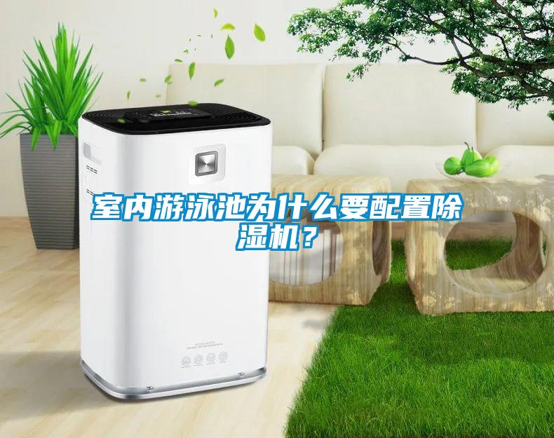 室內游泳池為什么要配置除濕機？