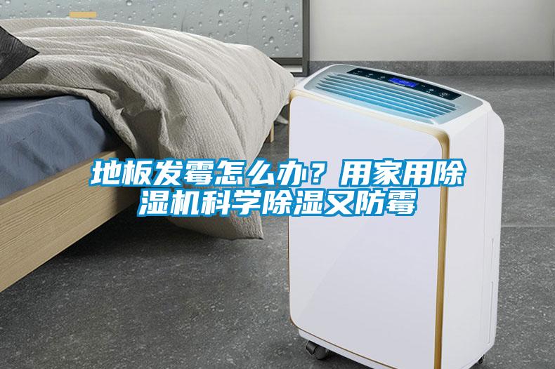 地板發霉怎么辦？用家用除濕機科學除濕又防霉