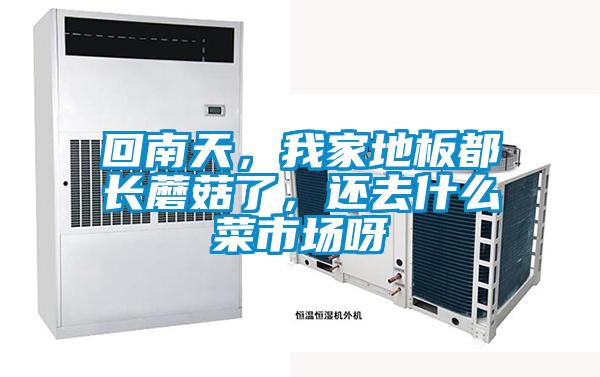 回南天，我家地板都長蘑菇了，還去什么菜市場呀