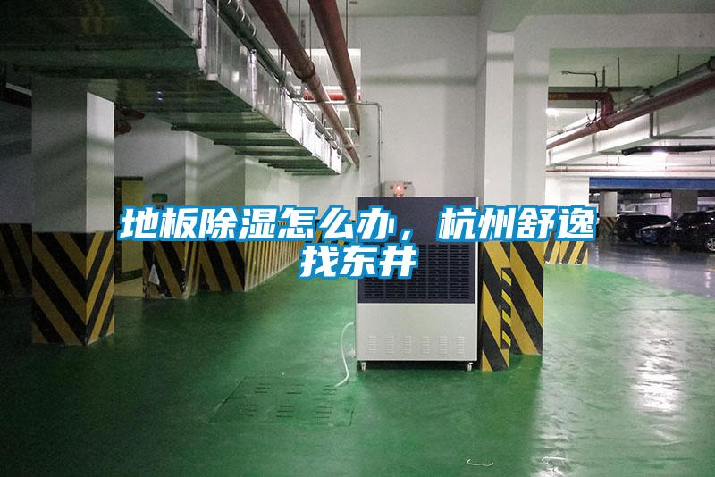 地板除濕怎么辦，杭州舒逸找東井
