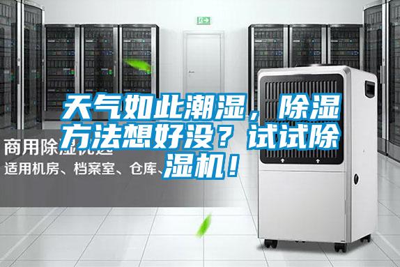 天氣如此潮濕，除濕方法想好沒？試試除濕機！