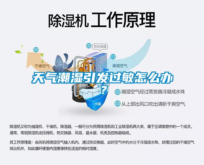 天氣潮濕引發過敏怎么辦？
