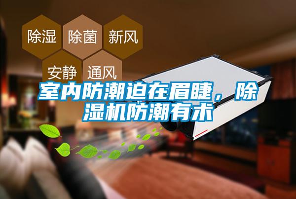 室內防潮迫在眉睫，除濕機防潮有術