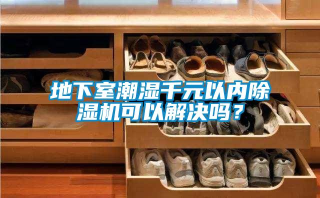 地下室潮濕千元以內除濕機可以解決嗎？