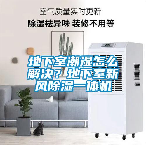 地下室潮濕怎么解決？地下室新風除濕一體機