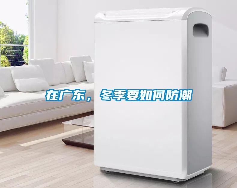 在廣東，冬季要如何防潮