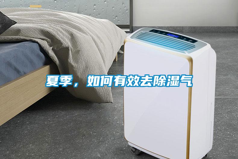 夏季，如何有效去除濕氣