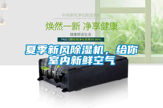 夏季新風除濕機，給你室內新鮮空氣