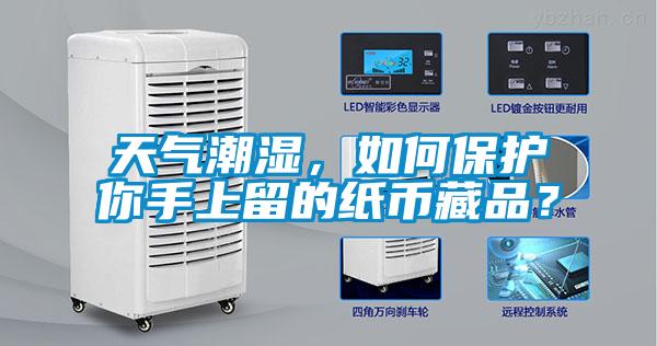 天氣潮濕，如何保護你手上留的紙幣藏品？