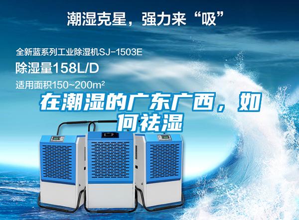 在潮濕的廣東廣西，如何祛濕