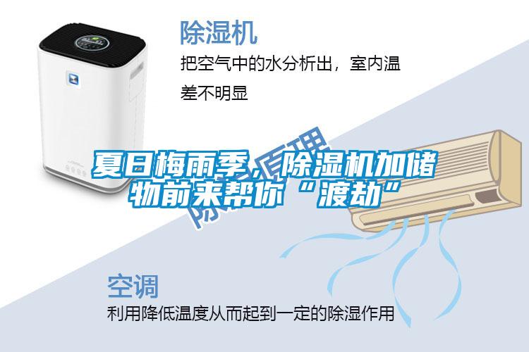 夏日梅雨季，除濕機加儲物前來幫你“渡劫”
