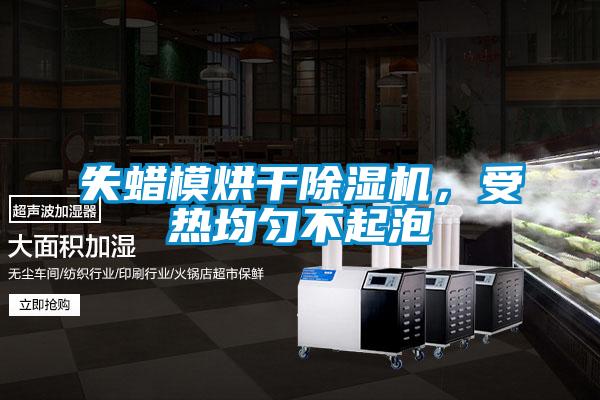 失蠟模烘干除濕機，受熱均勻不起泡