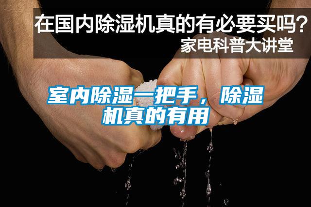 室內除濕一把手，除濕機真的有用
