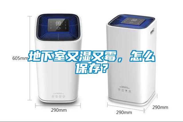 地下室又濕又霉，怎么保存？