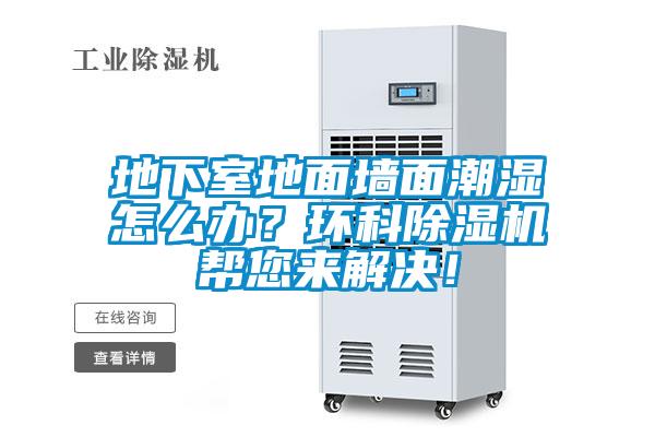 地下室地面墻面潮濕怎么辦？環科除濕機幫您來解決！