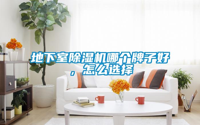 地下室除濕機哪個牌子好，怎么選擇
