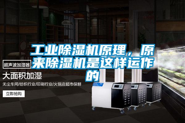工業除濕機原理，原來除濕機是這樣運作的